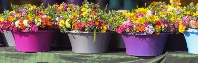 8 ting du skal overveje når du skal vælge urtepotter til dine planter